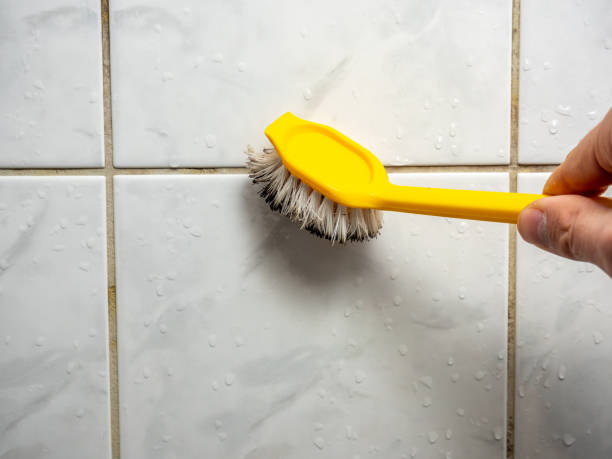 Mold Removal Process in John Day, OR