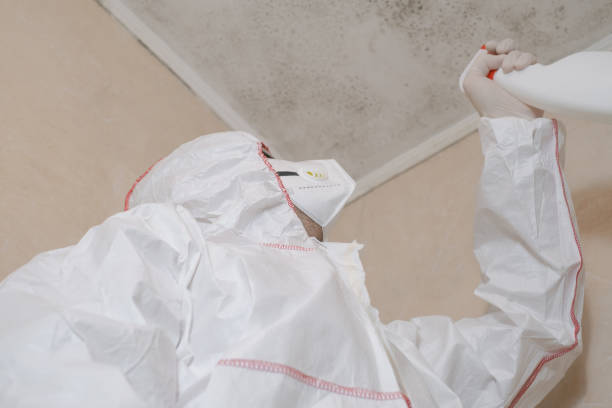 Best Mold Cleaning Services  in John Day, OR